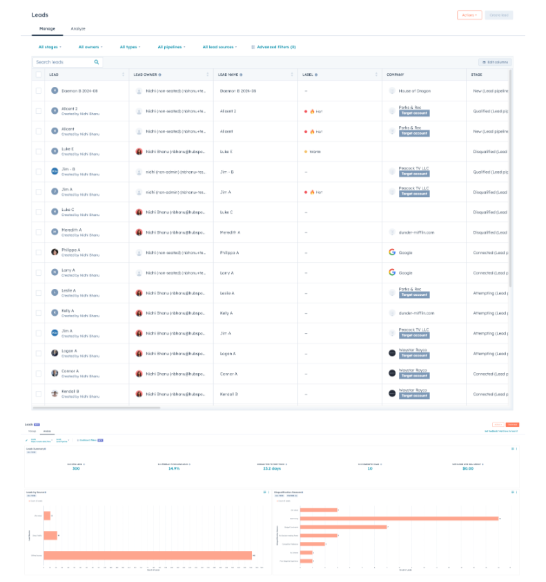 Screenshot of HubSpot Leads Summary Page